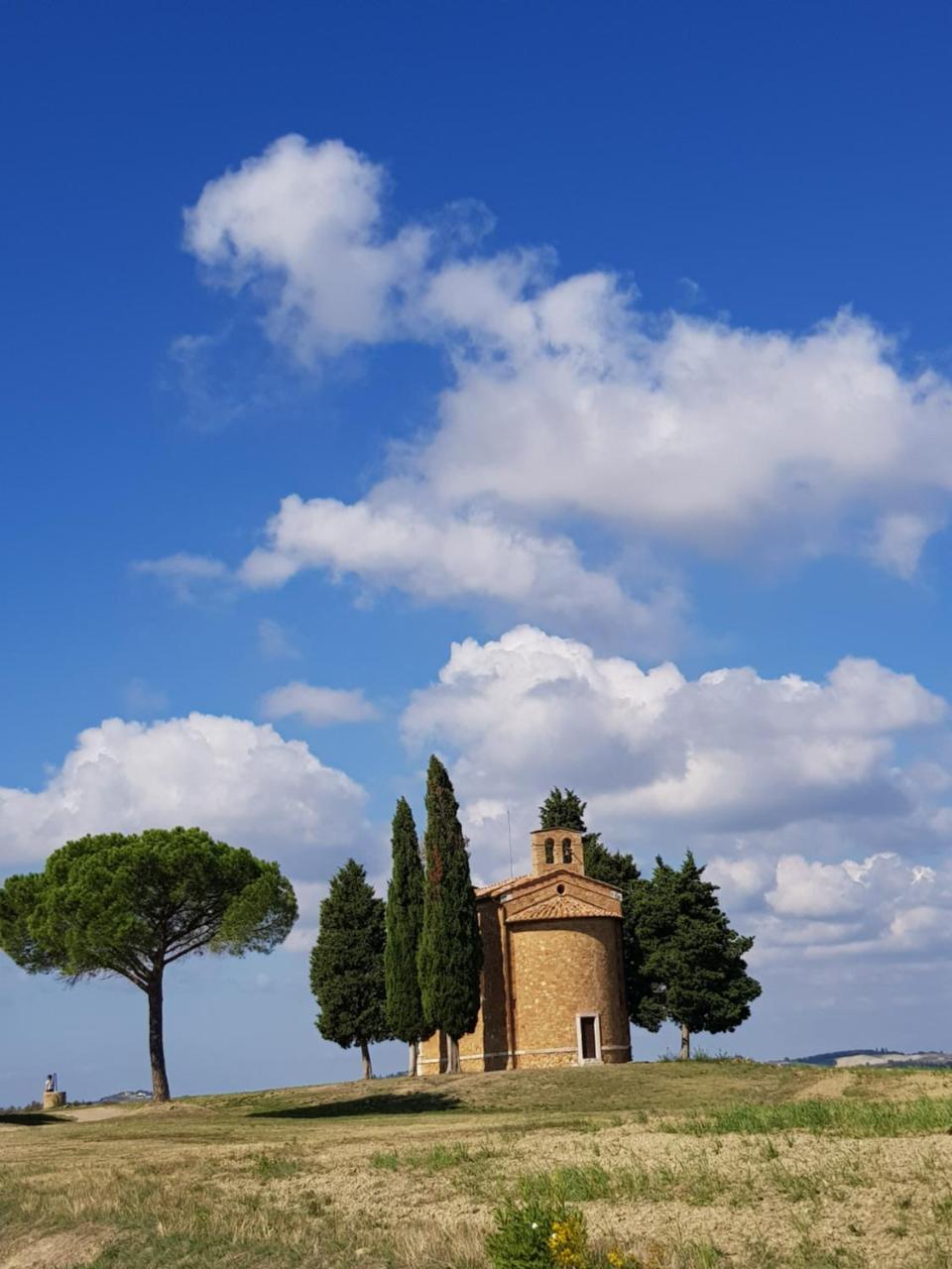 B&B Il Glicine Montefollonico Bagian luar foto