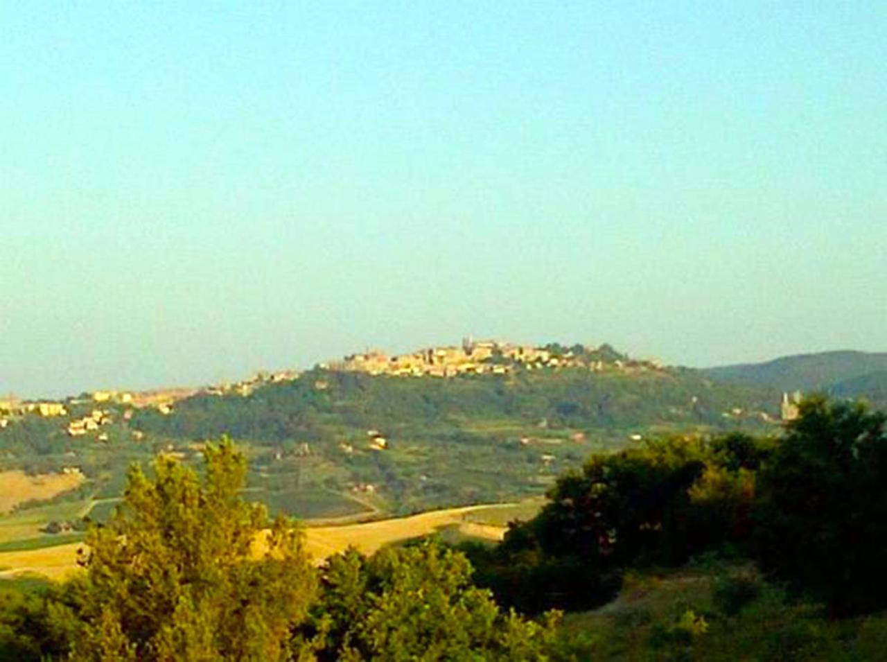 B&B Il Glicine Montefollonico Bagian luar foto