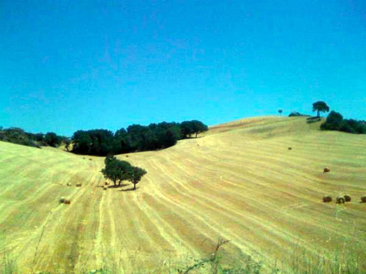 B&B Il Glicine Montefollonico Bagian luar foto