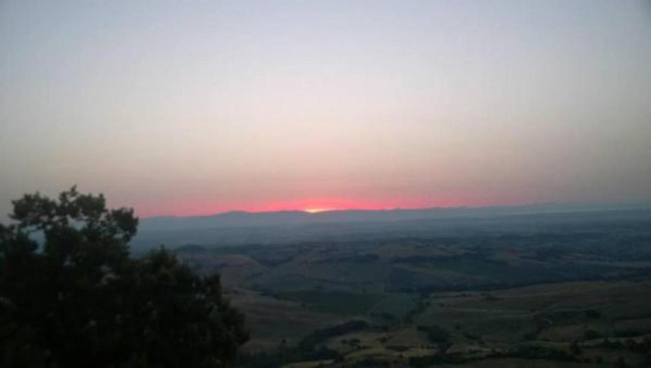 B&B Il Glicine Montefollonico Bagian luar foto