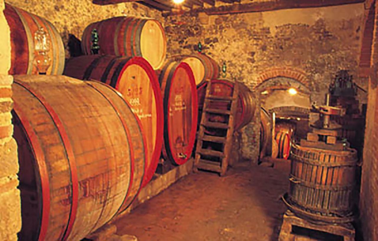 B&B Il Glicine Montefollonico Bagian luar foto